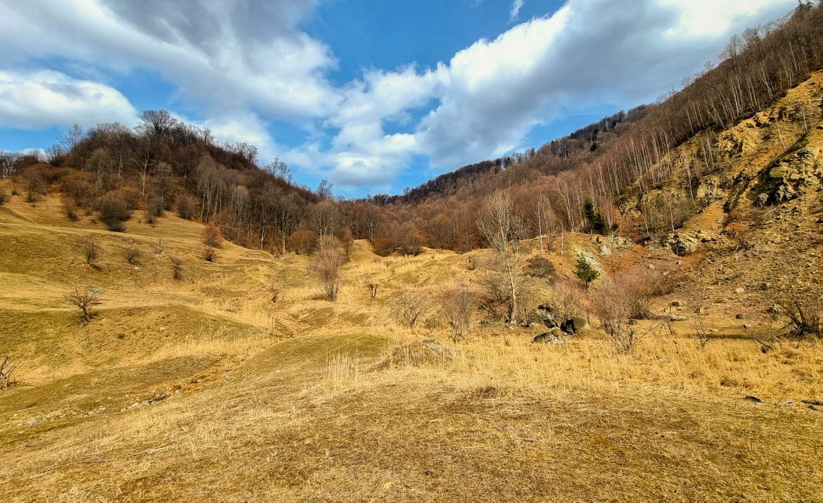 Teren 18.500 m², Siriu – foto 15