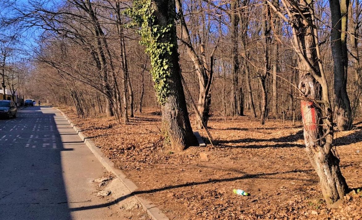 Teren 8.353 m², Pipera, București – foto 4