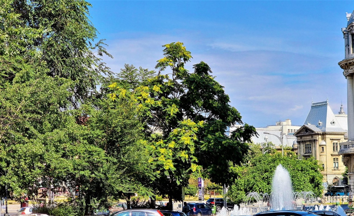 Apartament 3 camere, Universitate, București – foto 12
